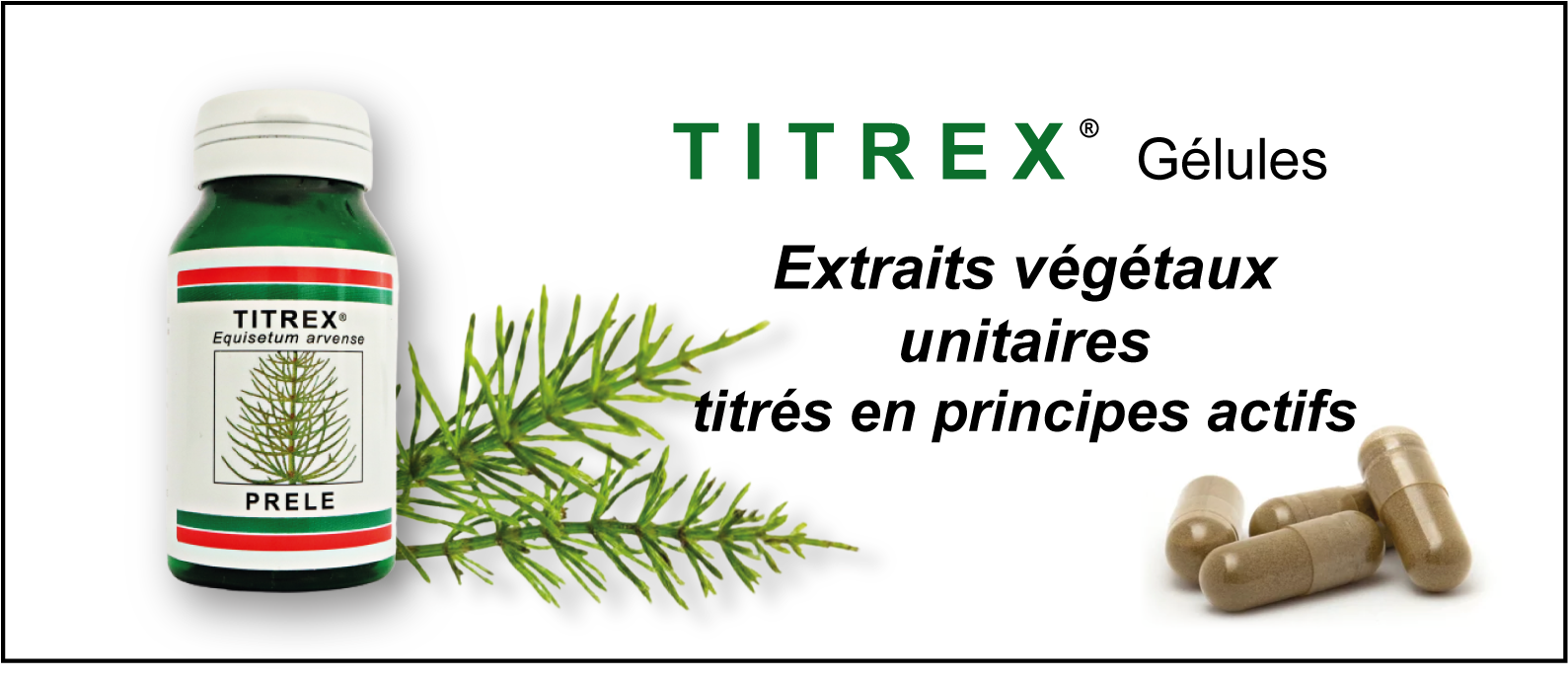 Titrex Gelules